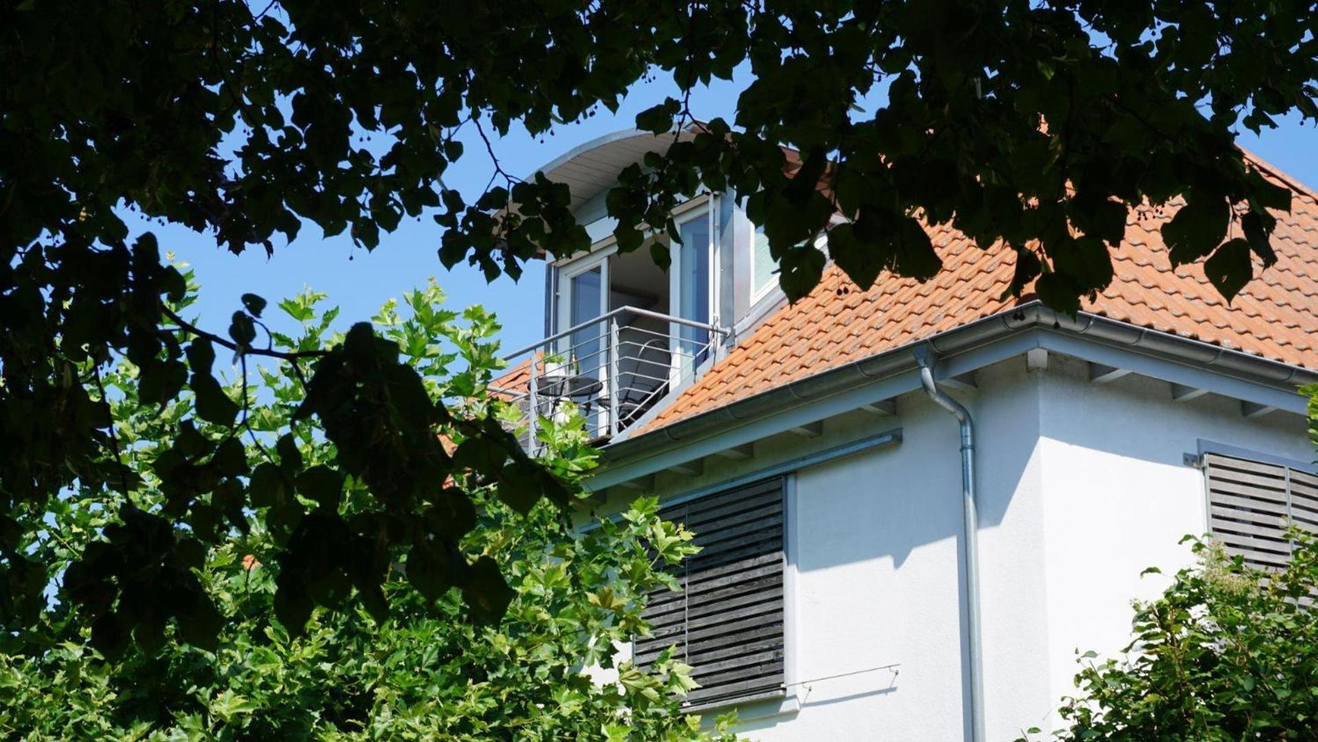 Ferienwohnung Weitsicht 梅尔斯堡 外观 照片